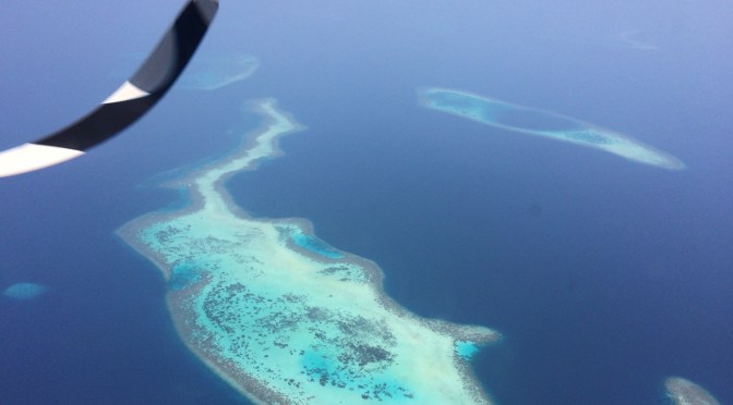 Maldives, Mirihi, diving, beach, snorkeling, flying over the Maldives, sharks, eagle rays