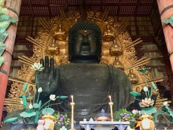 Nara, Great Buddha, Todai-ji, Japan, Terry Donohue