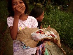 Spices, spice trade, nutmeg, Banda, Banda Islands, Bandas, Pulau Hatta, Terry Donohue, Indonesia