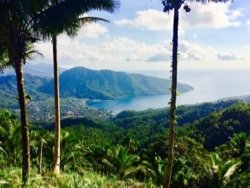 Terry Donohue, dive, diving, Manado, Pulau Sangihe, Mayestic, Tahuna, wreck diving, Sulawesi, Indonesia