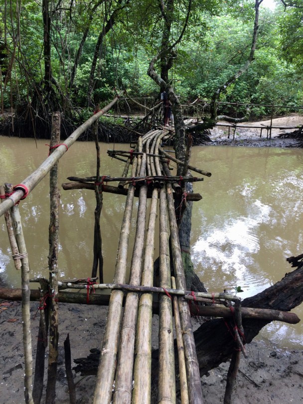 Ujung Kulon, National Park, Taman Nasional, trekking, Indonesia, bamboo bridge