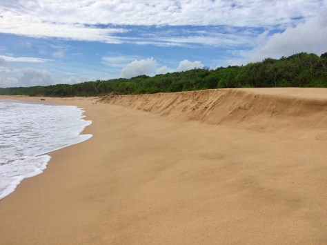 Beach, deserted beach, Ujung Kulon, National Park, Taman Nasional, trekking, Indonesia