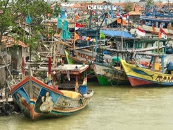 fishing boats, indonesian fishing boats, Java, Terry Donohue