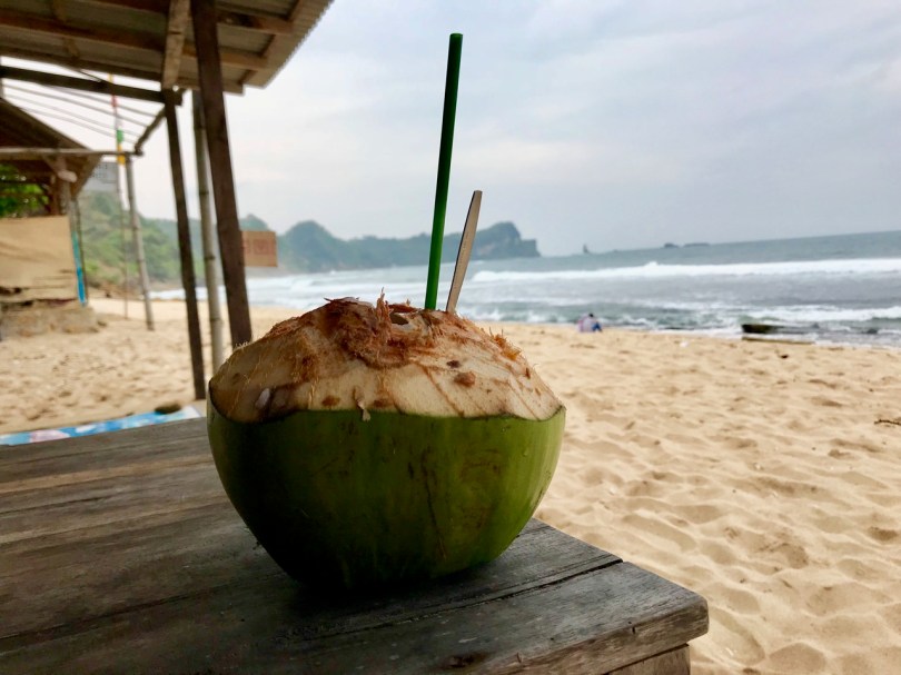 Java, Indonesia, Terry Donohue, south Java, beach, green coconut